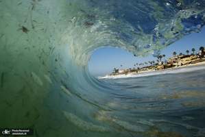 منتخب تصاویر امروز جهان- 23 مهر