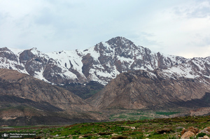 دشت لاله های واژگون کوهرنگ