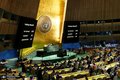پنج عضو جدید غیردائم شورای امنیت سازمان ملل انتخاب شدند