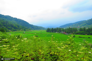 طبیعت افسونگر «سوادکوه»