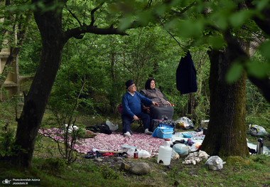 روز طبیعت در رستم آباد رودبار