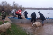 2 خانوار عشایری گرفتار سیلاب در شوش نجات یافتند