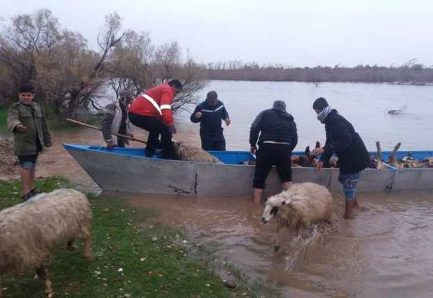 2 خانوار عشایری گرفتار سیلاب در شوش نجات یافتند