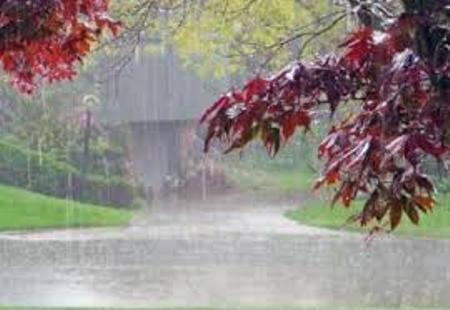 بارندگی در گنبدکاووس 14 درصد افزایش یافت