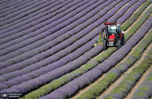 منتخب تصاویر امروز جهان - 5 مرداد 1401