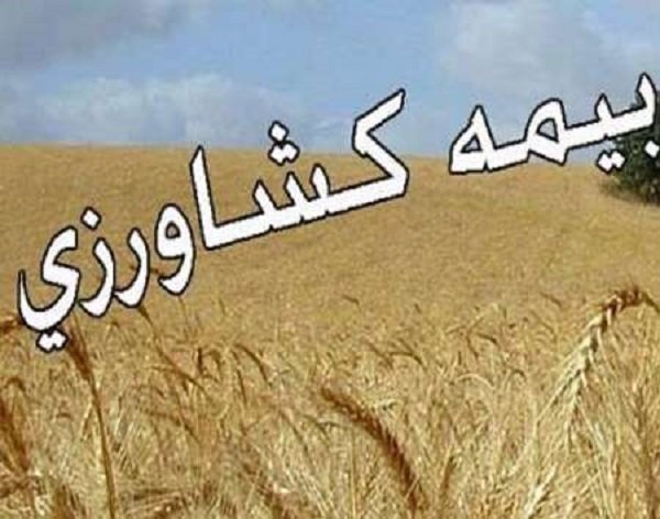 کاهش ۳۰ درصدی بیمه کشاورزی در سال زراعی جاری در اصفهان