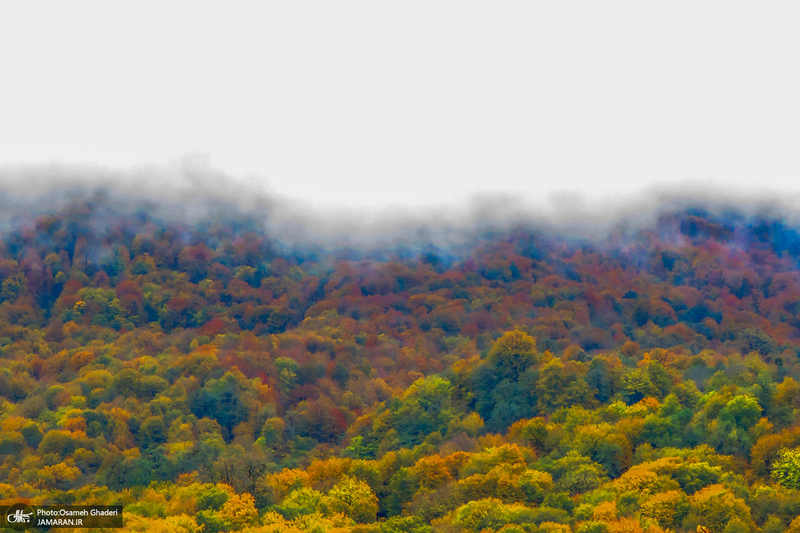 آبشار لونک دیلمان