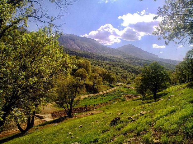 60 هزار هکتار به گستره اراضی حفاظت شده ایلام افزوده می شود