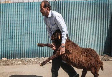 85 پایگاه جمع آوری نذورات عید قربان در آذربایجان غربی برپا می شود