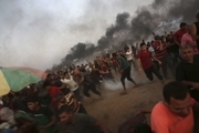 تصاویر/ 240 مجروح در تظاهرات بازگشت