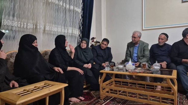  سخنگوی دولت و دستیار اجتماعی رئیس‌جمهور با خانواده الهه حسین‌نژاد دیدار کردند