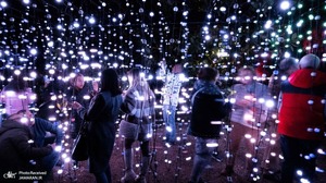 منتخب تصاویر امروز جهان - 6 آذر 1401