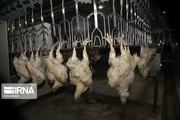 تست کرونای کارگر کشتارگاه مرغ گچساران مثبت اعلام شد