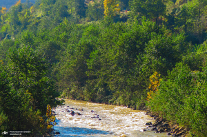 طبیعت بکر و بی نظیر رحیم آباد گیلان