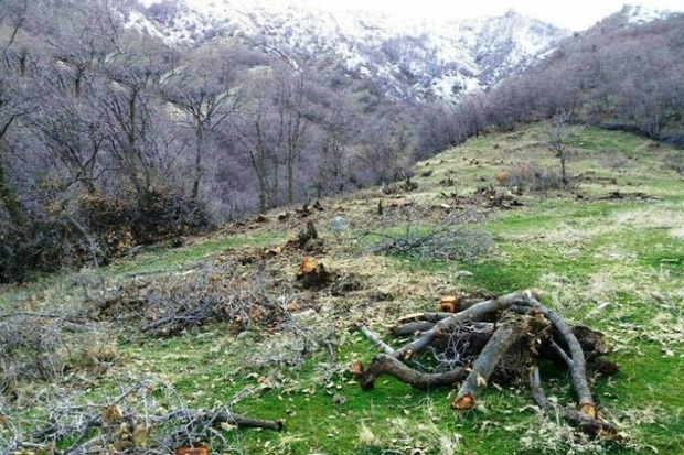 گردشگران نوروزی از تخریب اراضی جنگلی آستارا خودداری کنند