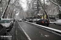 بهترین عکس ها از روز برفی تهران (11)