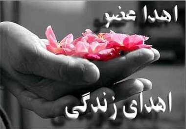 امسال دومین اهدای عضو در یزد انجام شد