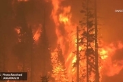 آلودگی ناشی از آتش‌سوزی‌های جنگلی بر شیوع کرونا تاثیر دارد