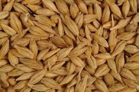 دامداران به شایعات توجه نکنند!