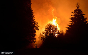 منتخب تصاویر امروز جهان - 14 بهمن 1403