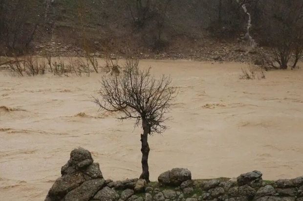 سدهای کردستان ظرفیت پذیرش حجم بارش‌های اخیر را دارد