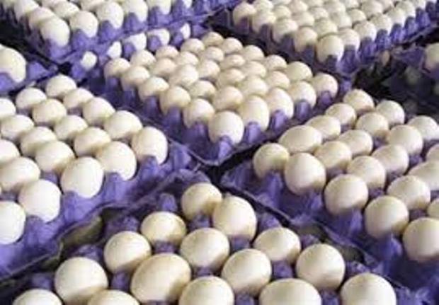 عرضه تخم مرغ با قیمت مصوب در بازار روزهای شهرداری کرج