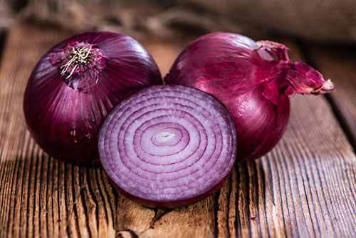 کاهش قیمت پیاز کلید خورد