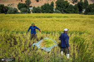 منتخب تصاویر امروز جهان- 12 مهر