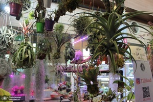 نمایشگاه گل و گیاه (1)