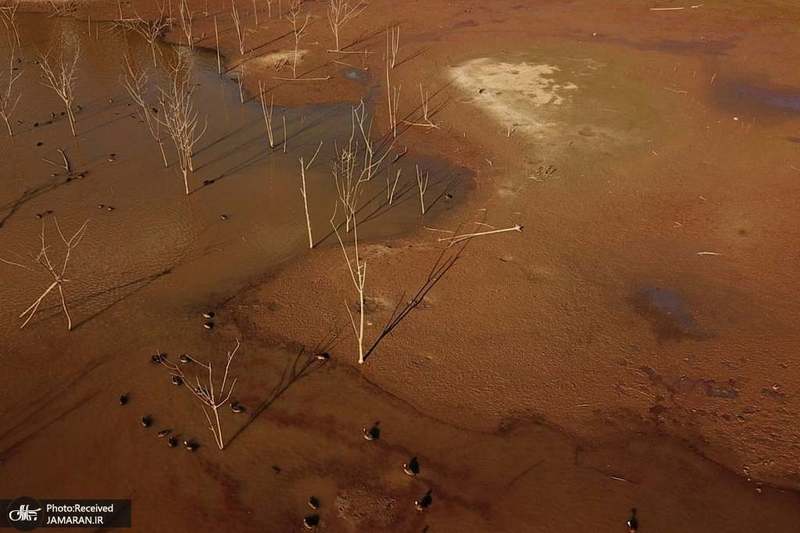 منتخب تصاویر امروز جهان- 15 شهریور 1400