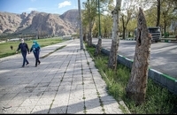 1399012313005153220113274