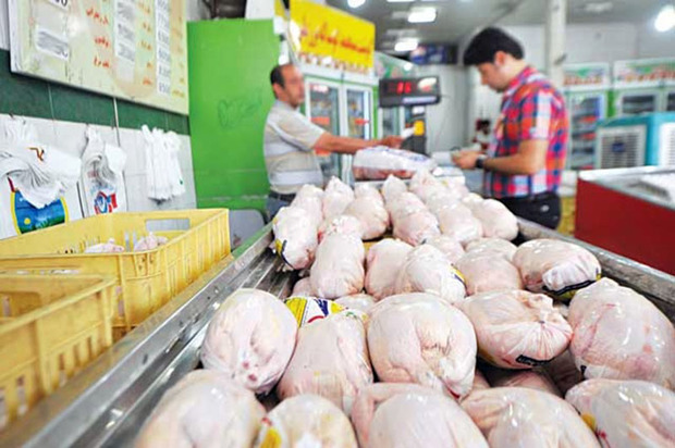 گوشت مرغ هیات های عزاداری کردستان تامین می شود