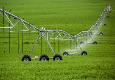 عبور از کشاورزی سنتی با ورود بخش خصوصی
