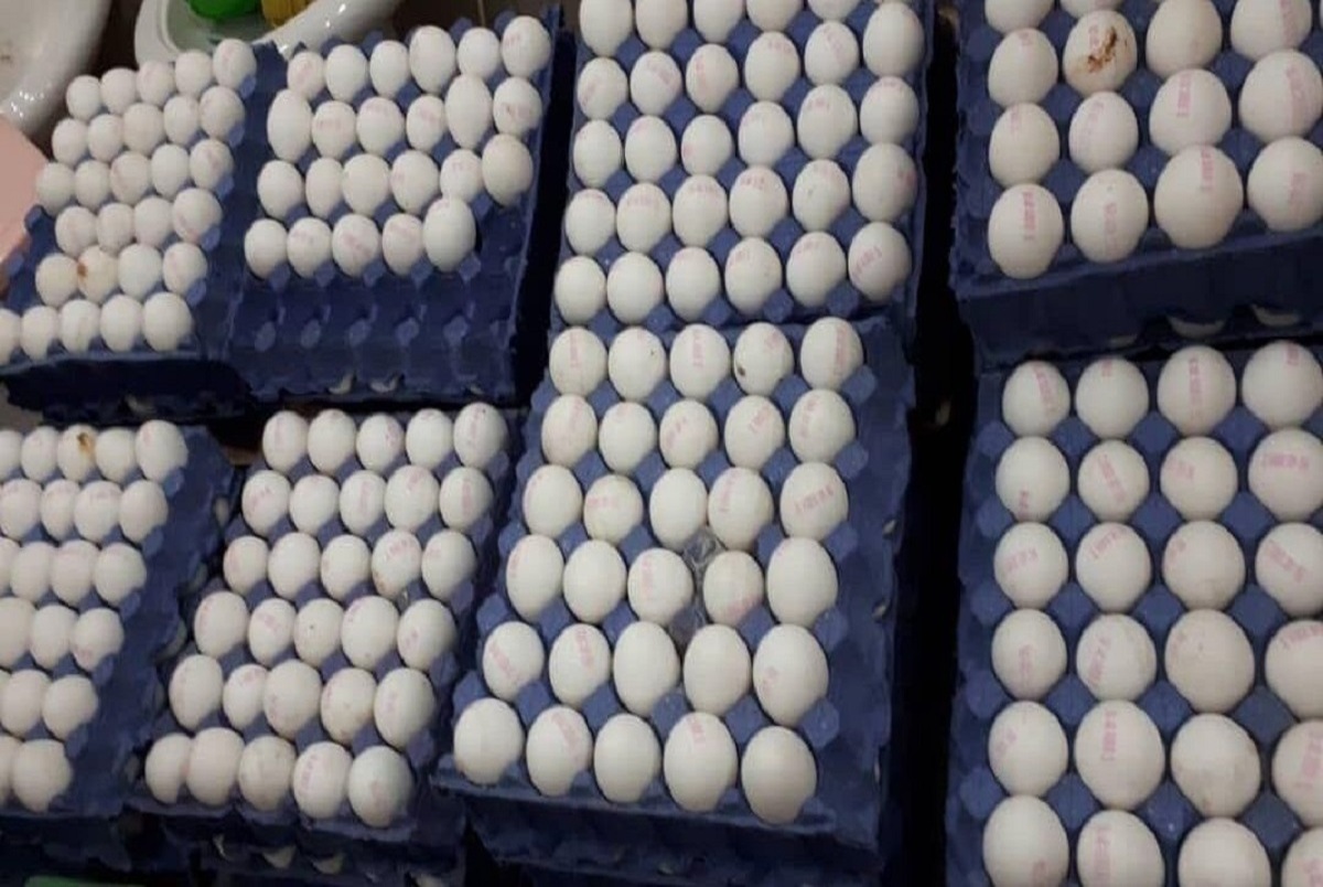 قیمت هر شانه تخم‌مرغ در هفتم آذرماه 1401: بالای 100 هزار تومان!