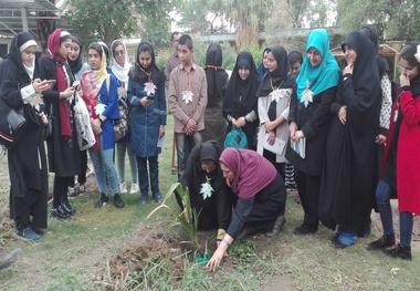 کتاب 'خداحافظی در خیابان پاییز' در خوزستان نقد شد