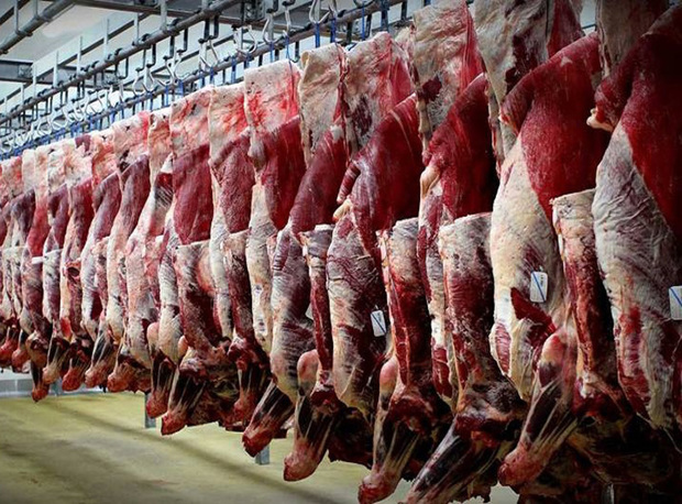 نماینده مردم گرگان و آق قلا: قیمت گوشت کاهش می‌یابد