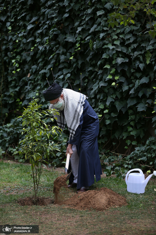 کاشت دو نهال میوه در روز درختکاری توسط رهبر معظم انقلاب
