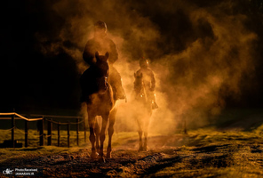 منتخب تصاویر امروز جهان - 21 و 22 دی 1403