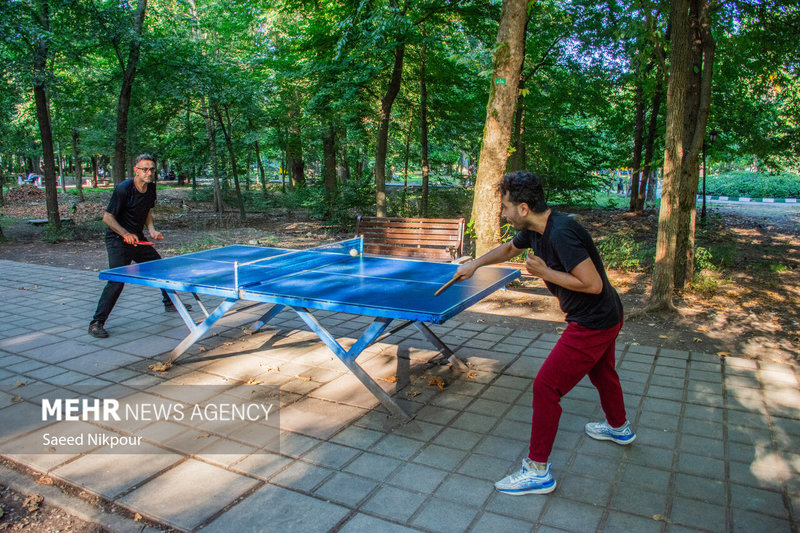 اینجا ایران است