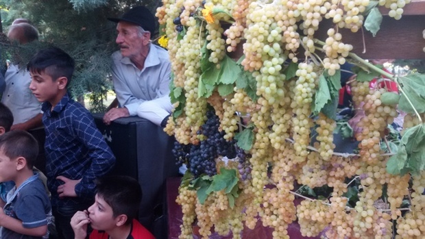 جشن شکرگزاری برداشت انگور در مشگین شهر برگزار شد