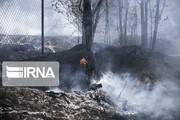 آتش سوزی در جنگل سوادکوه خاموش شد