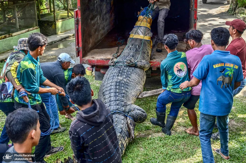 منتخب تصاویر امروز جهان - 20 بهمن 1401