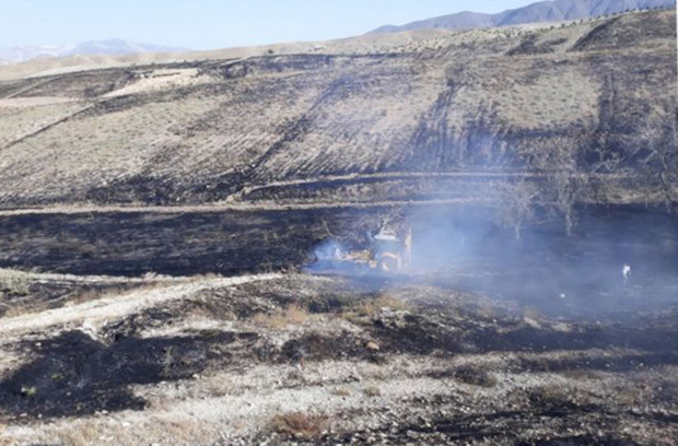 آتش سوزی اراضی کشاورزی منطقه وادان شهرستان دماوند مهار شد