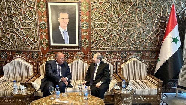 وزیر خارجه مصر در دمشق با بشار اسد دیدار کرد
