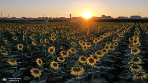 منتخب تصاویر امروز جهان - 23 شهریور 1401