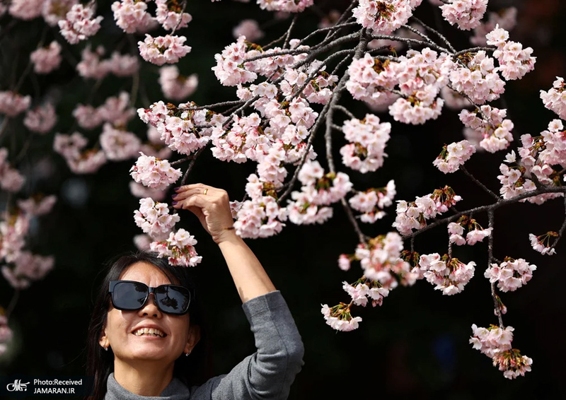 منتخب تصاویر امروز جهان - 24 و 25 اسفند 1403