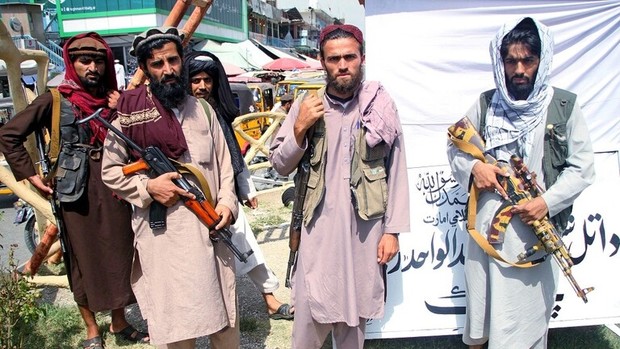 طالبان یگان نظامی برای جلوگیری از قطع درختان تشکیل داد