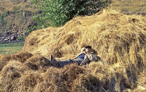 ماجرای عکس متفاوت عباس کیارستمی که پوستر جشنواره فجر شد