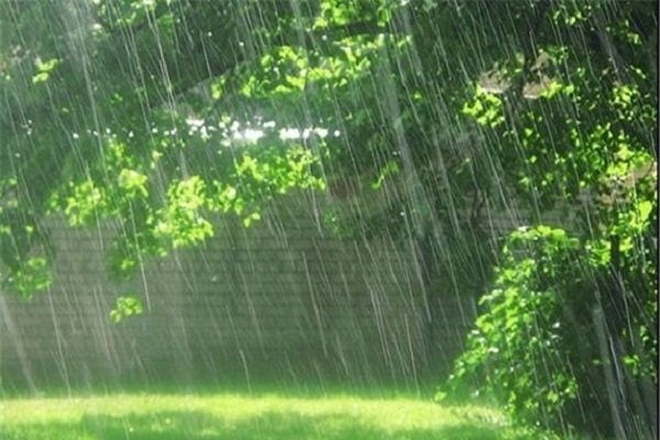 سامانه بارشی در استان بوشهر فعال می‌شود  احتمال آب‌گرفتگی معابر