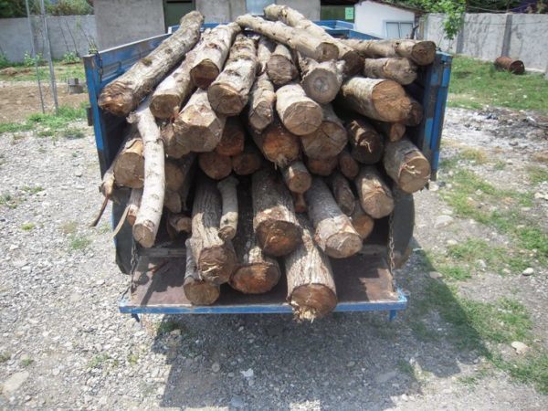کشف انبار چوب جنگلی قاچاق در شهرستان سروآباد